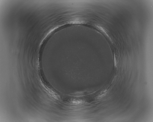 X0000063440531200601231328