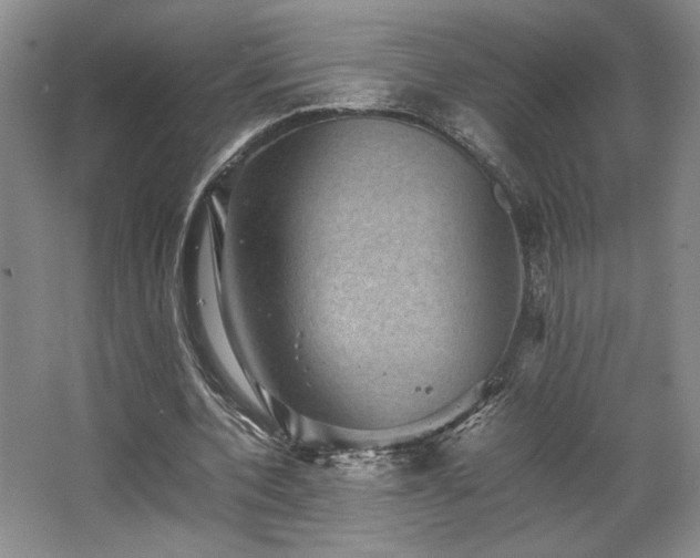 X0000063440532200601231328