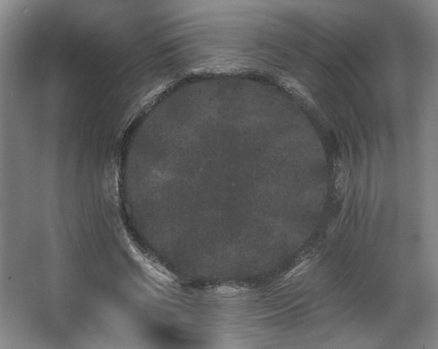 X0000063440542200601231328