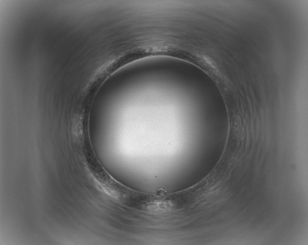 X0000063440543200601231328
