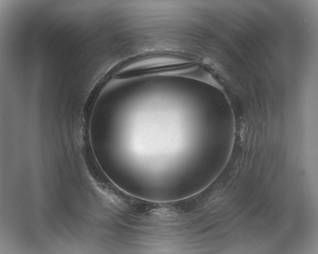 X0000063440544200601231328