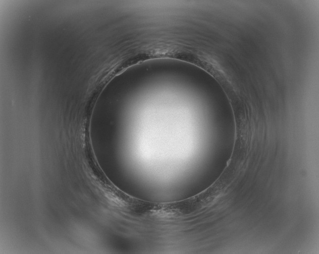 X0000063440545200601231328