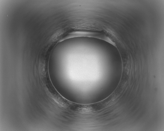 X0000063440548200601231328