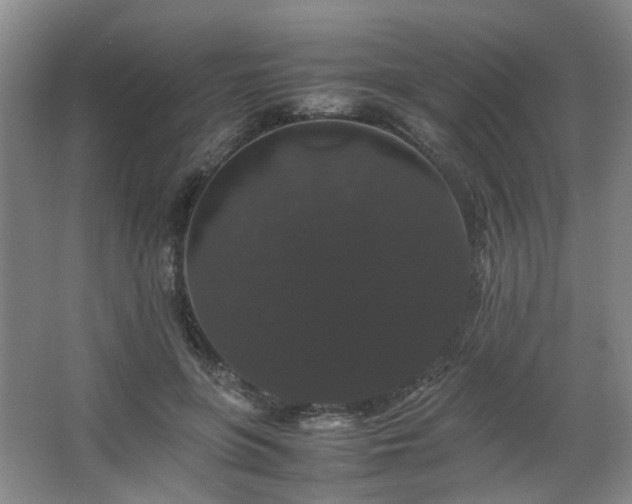 X0000063440551200601231328