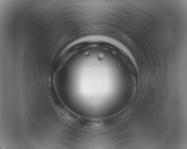 X0000063440552200601231328