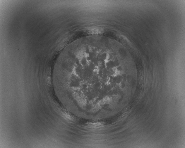 X0000063440553200601231328