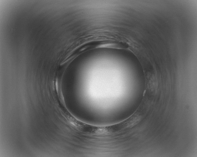 X0000063440562200601231329