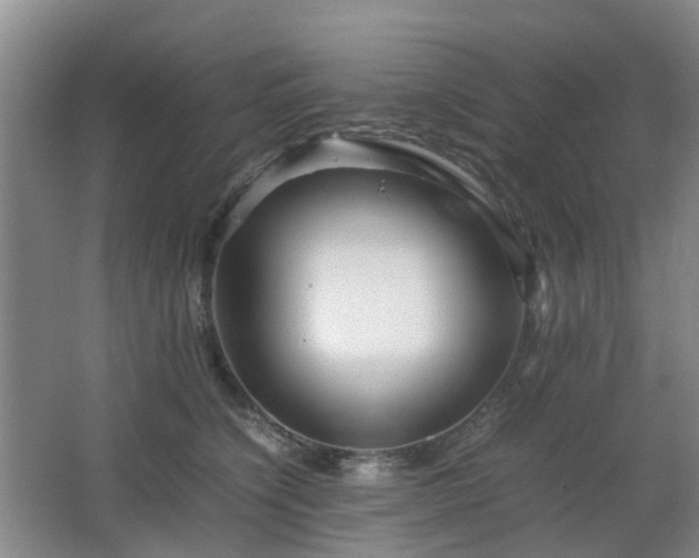 X0000063440564200601231329