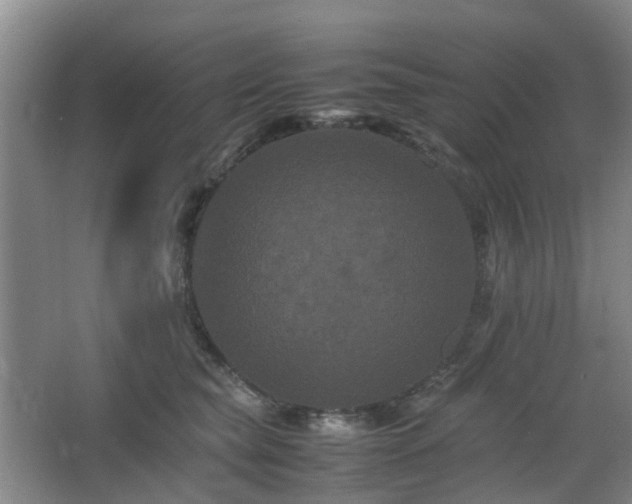 X0000063440565200601231329