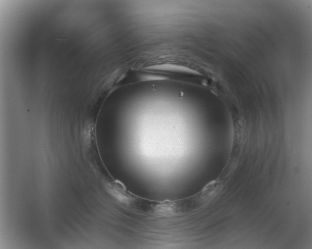 X0000063440574200601231329