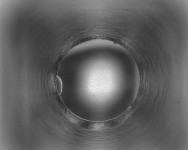 X0000063440575200601231329