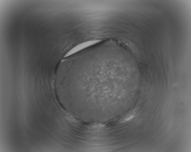 X0000063440576200601231329