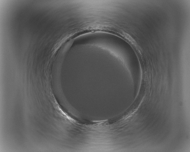 X0000063440577200601231328