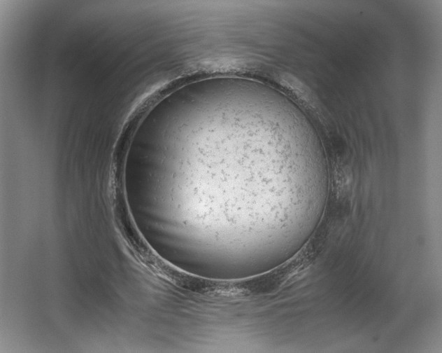 X0000063440583200601231328