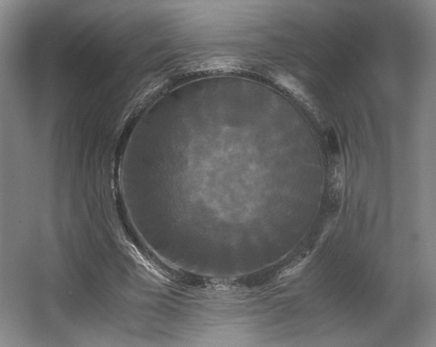 X0000063440585200601231328