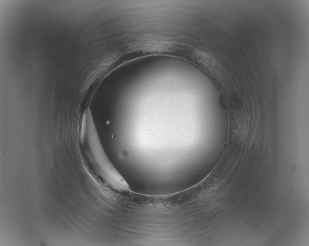 X0000063440586200601231328