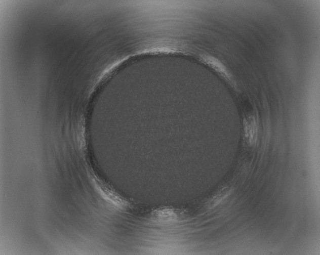 X0000063440588200601231328
