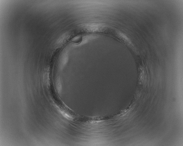 X0000063440590200601231328