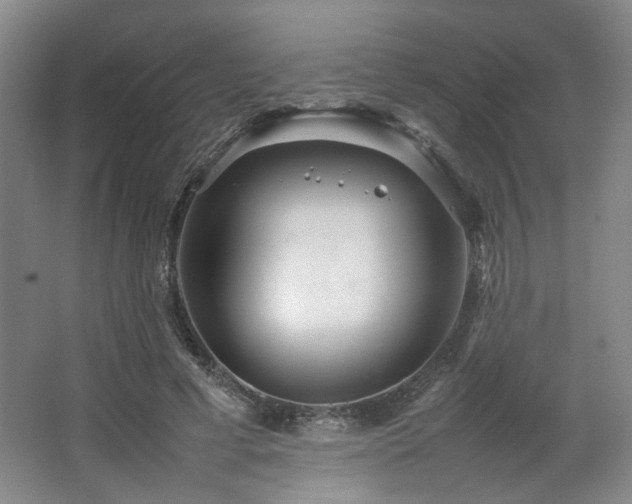 X0000063440593200601231328