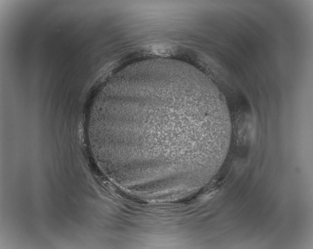 X0000063440595200601231328
