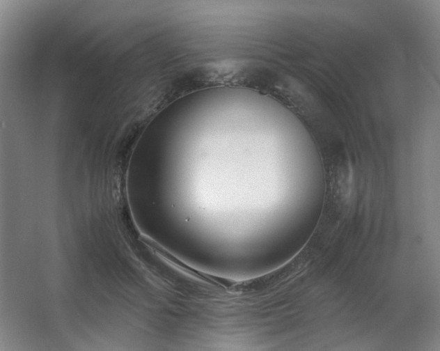 X0000063440602200601231328