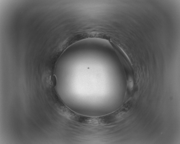 X0000063440615200601231327