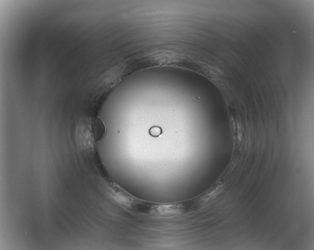 X0000063440622200601231327