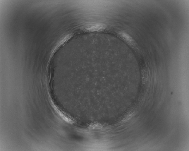 X0000063440634200601231327
