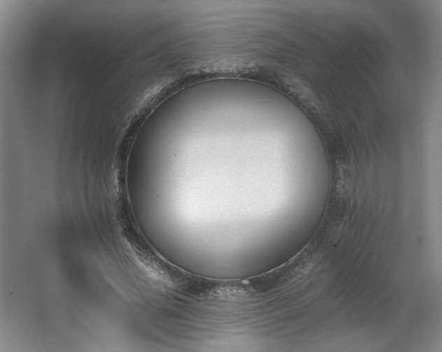 X0000063440636200601231327