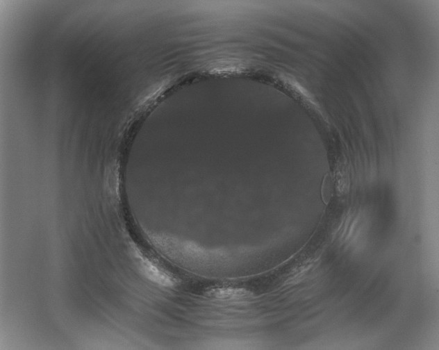 X0000063440637200601231327