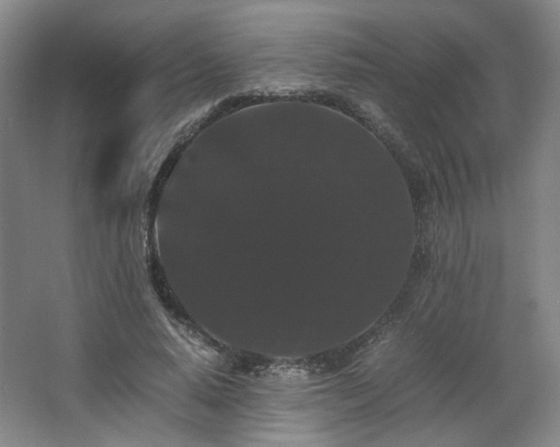 X0000063440640200601231327