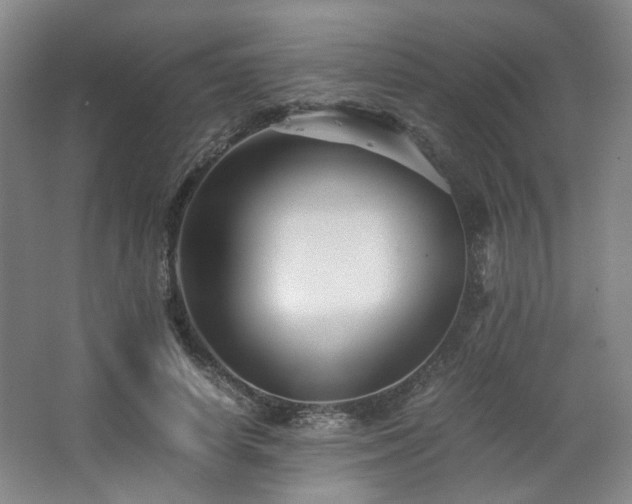 X0000063440642200601231327