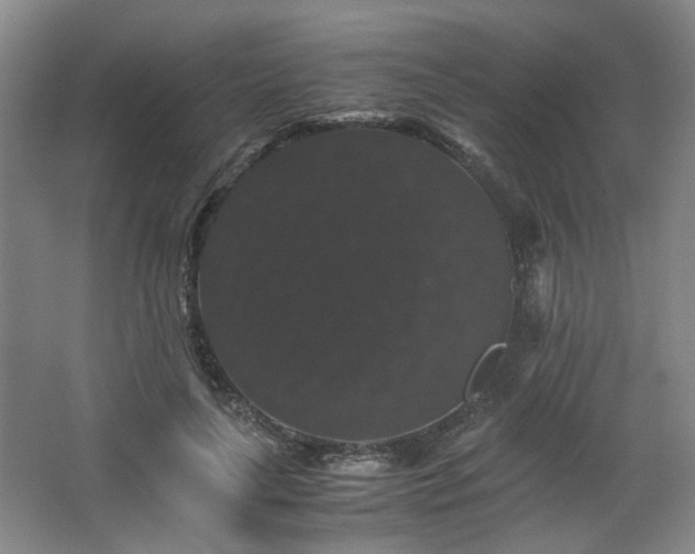 X0000063440643200601231327