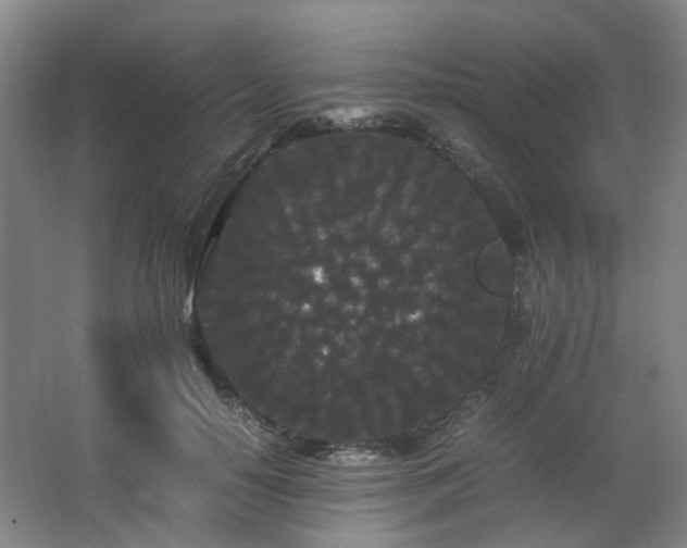 X0000063440650200601231327