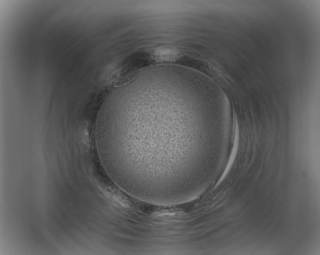 X0000063440655200601231327