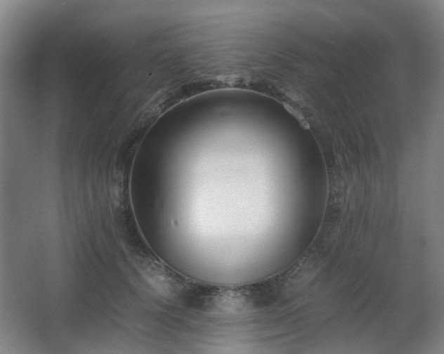 X0000063440656200601231327