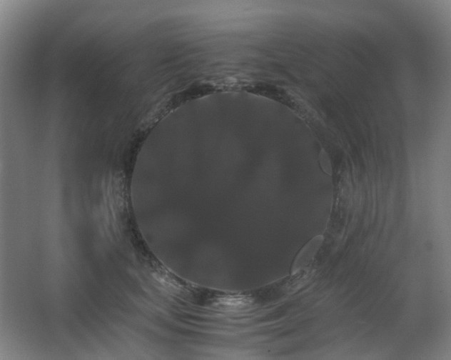X0000063440659200601231327