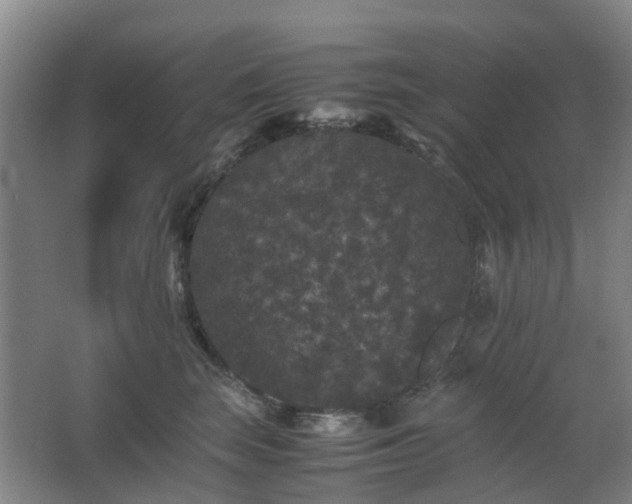 X0000063440663200601231327