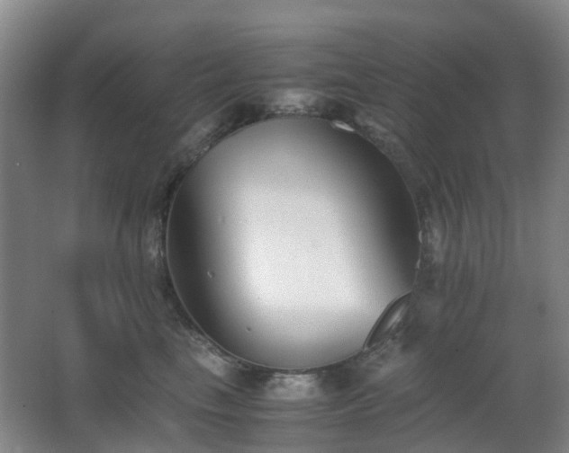X0000063440665200601231327