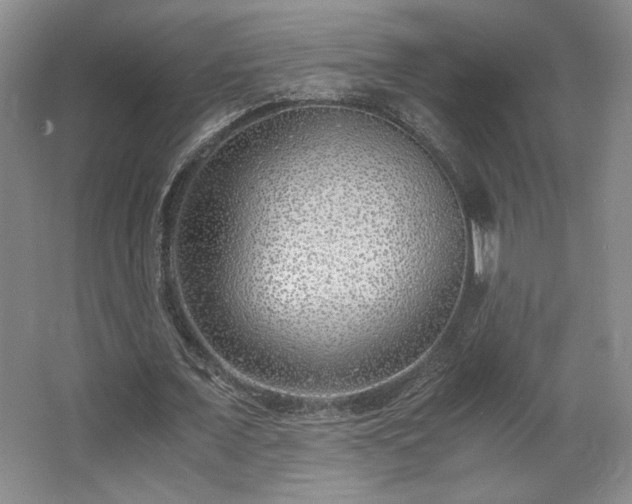X0000063440675200601231326