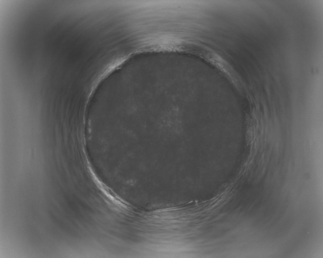 X0000063440677200601231326
