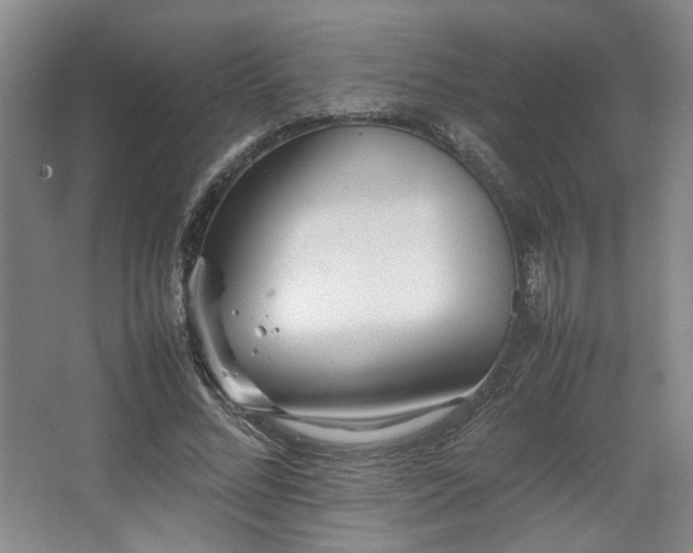 X0000063440684200601231326