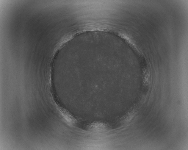 X0000063440685200601231326