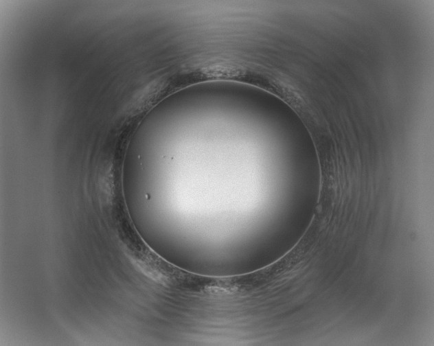 X0000063440690200601231326