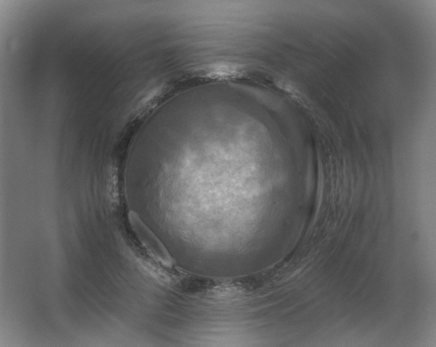 X0000063440696200601231326