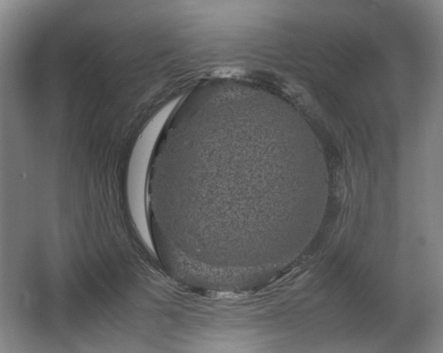 X0000063440697200601231326