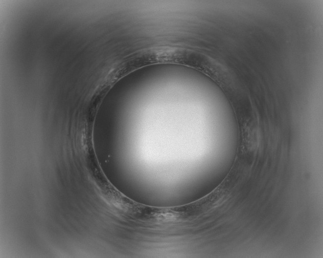X0000063440698200601231326