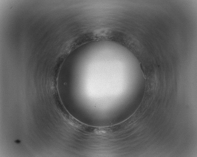 X0000063440706200601231326