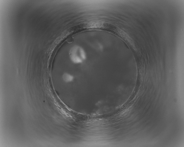 X0000063440721200601231325