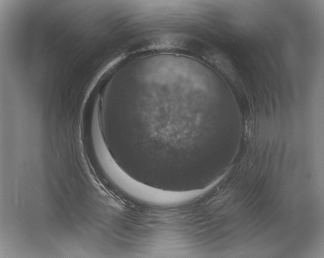 X0000063440724200601231325